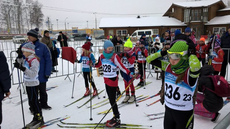 Первенство Колпинского района Санкт-Петербурга по лыжным гонкам